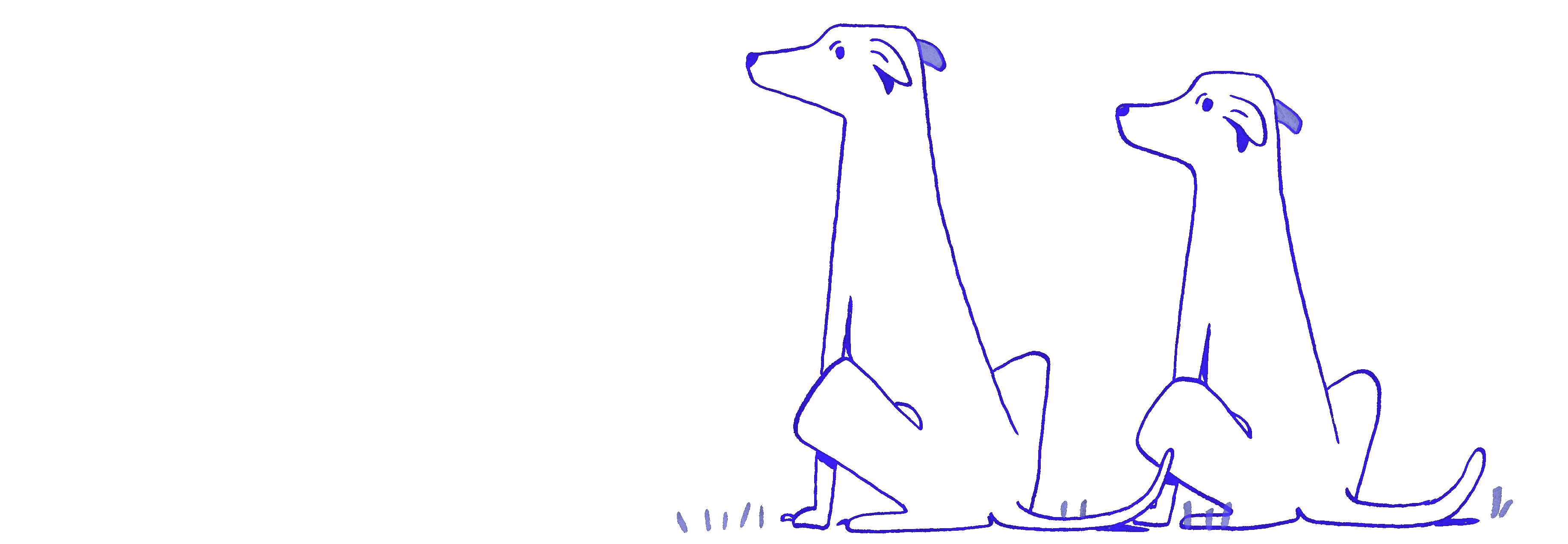 Ilustracion decorativa